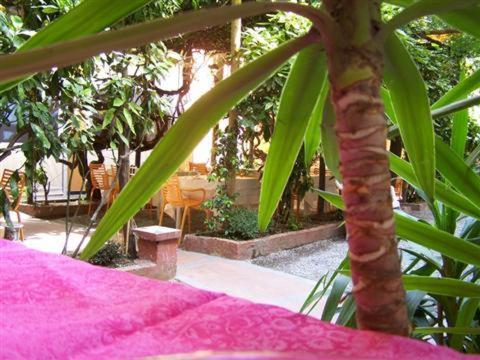Albergo Lavagnese Lavagna Dış mekan fotoğraf